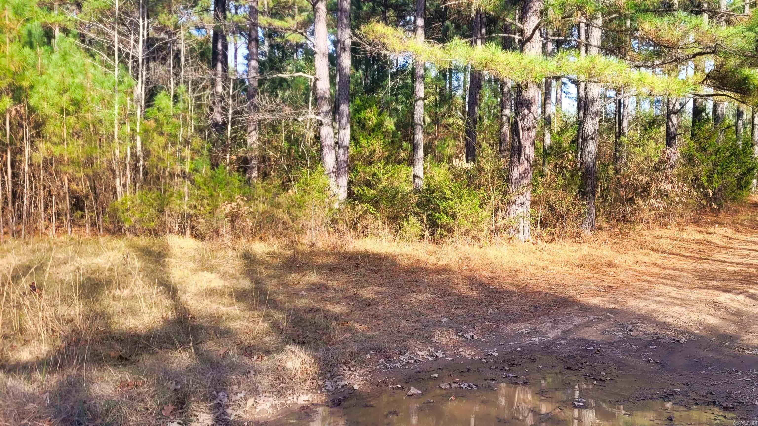 428 Pumpkin Center  Quitman, AR