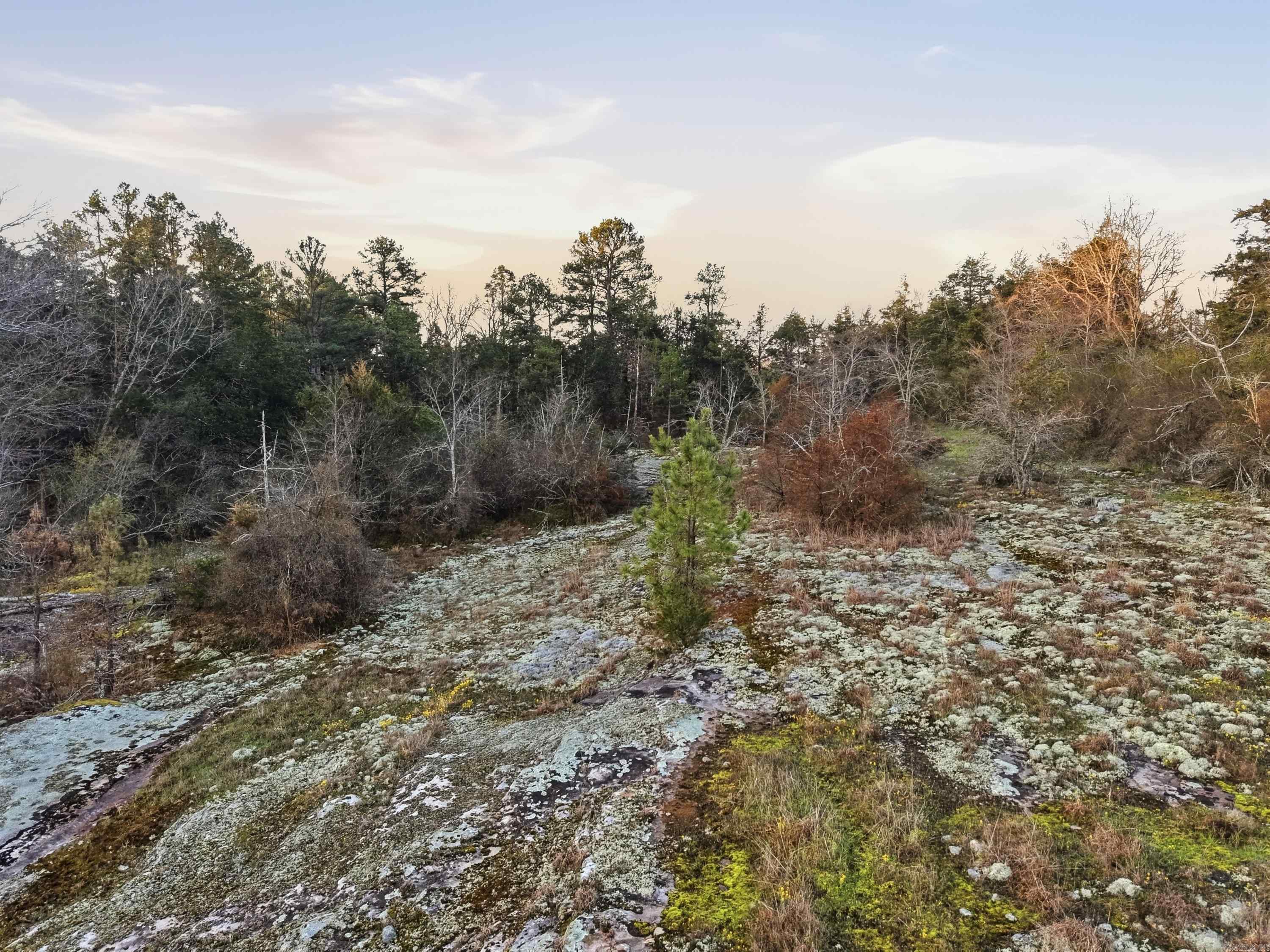 499 Quail  Calico Rock, AR