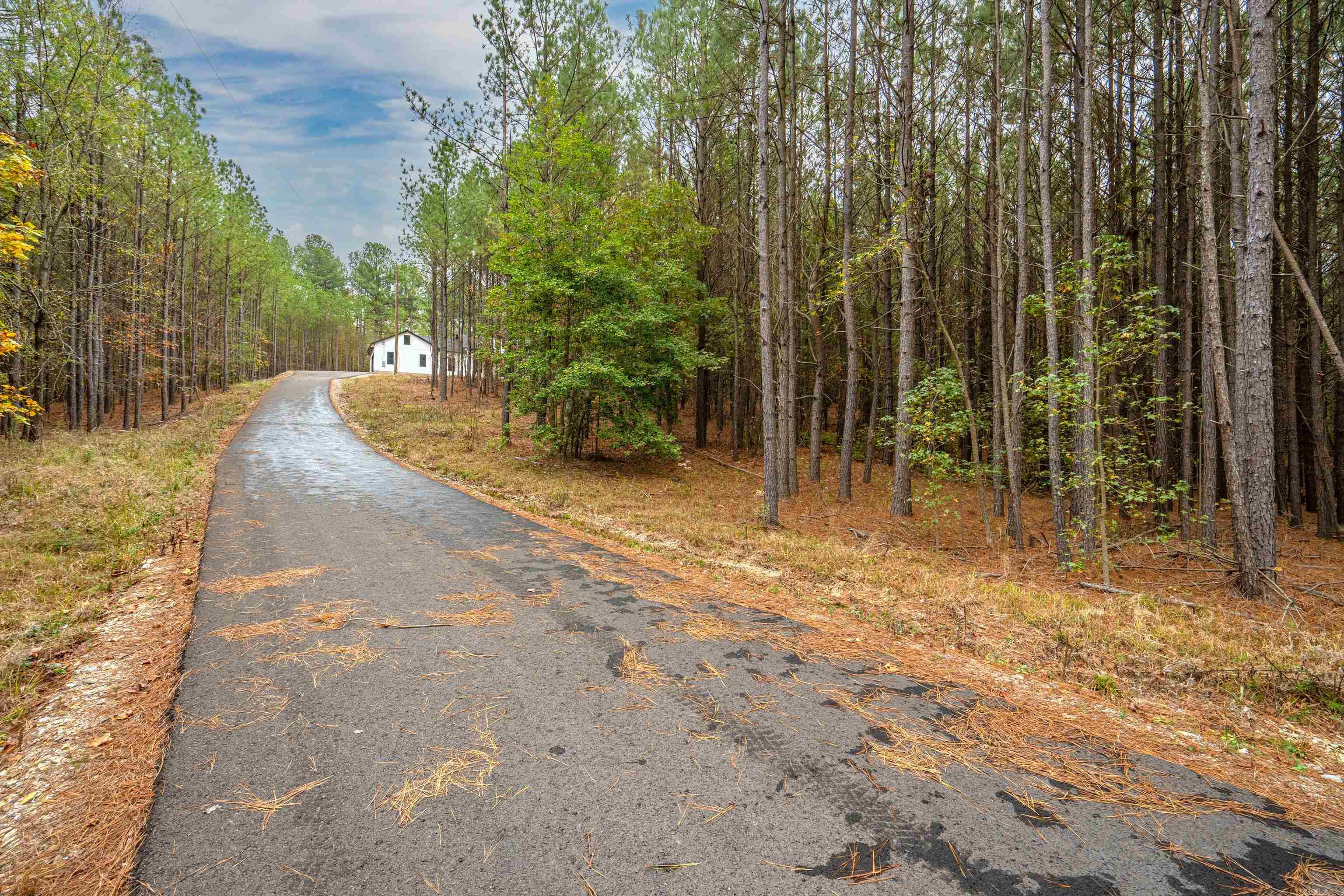 550 Stihl  Hot Springs, AR