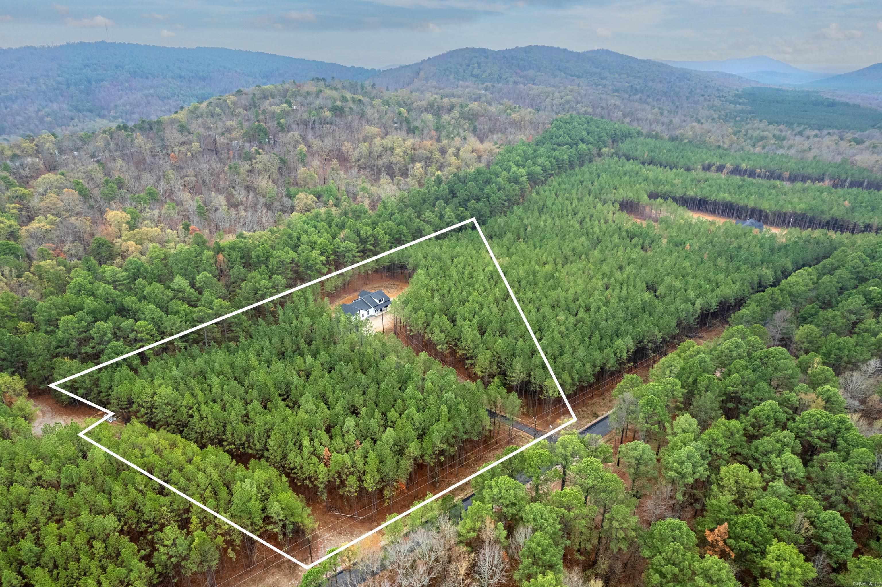 550 Stihl  Hot Springs, AR