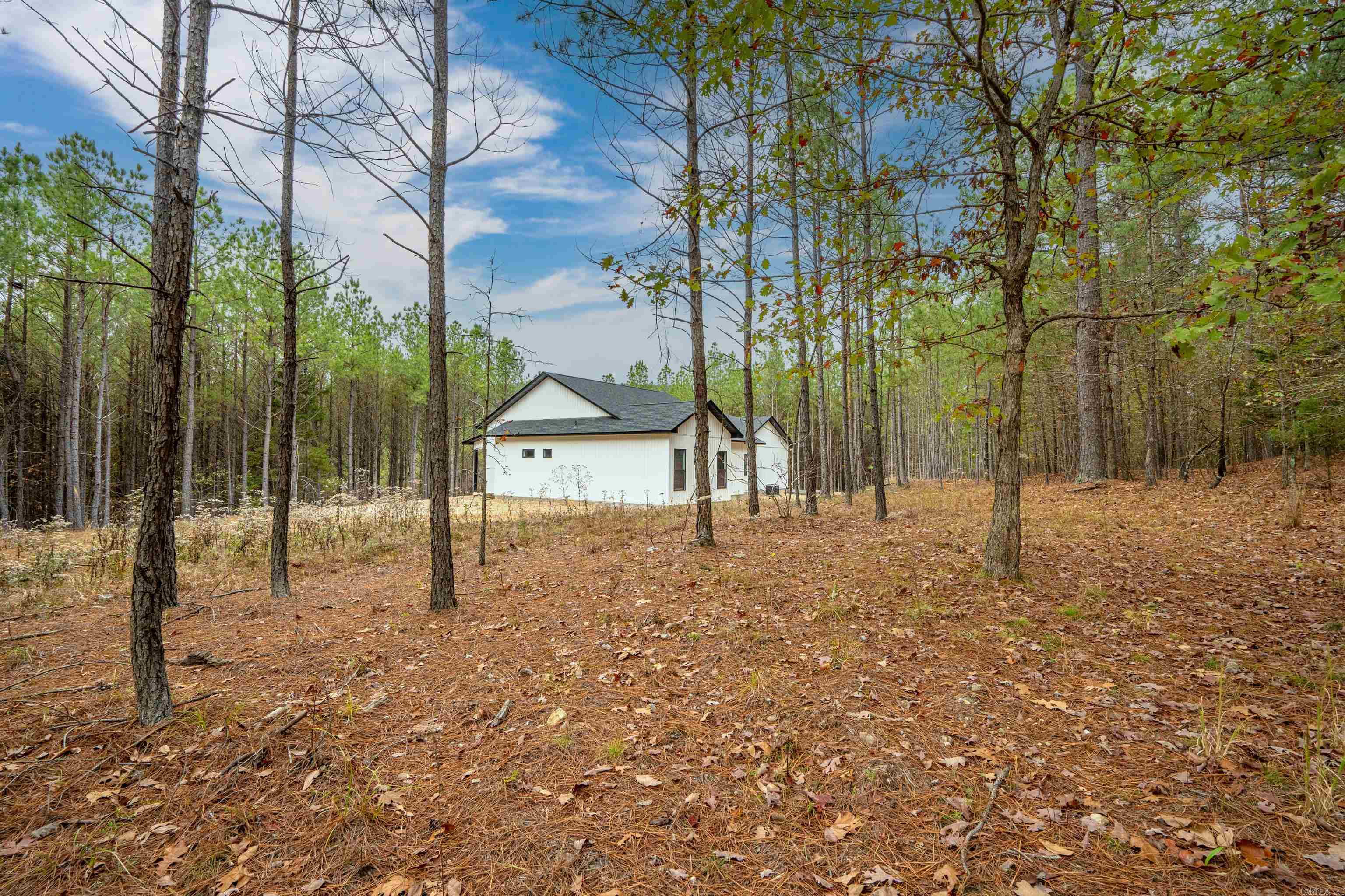 550 Stihl  Hot Springs, AR