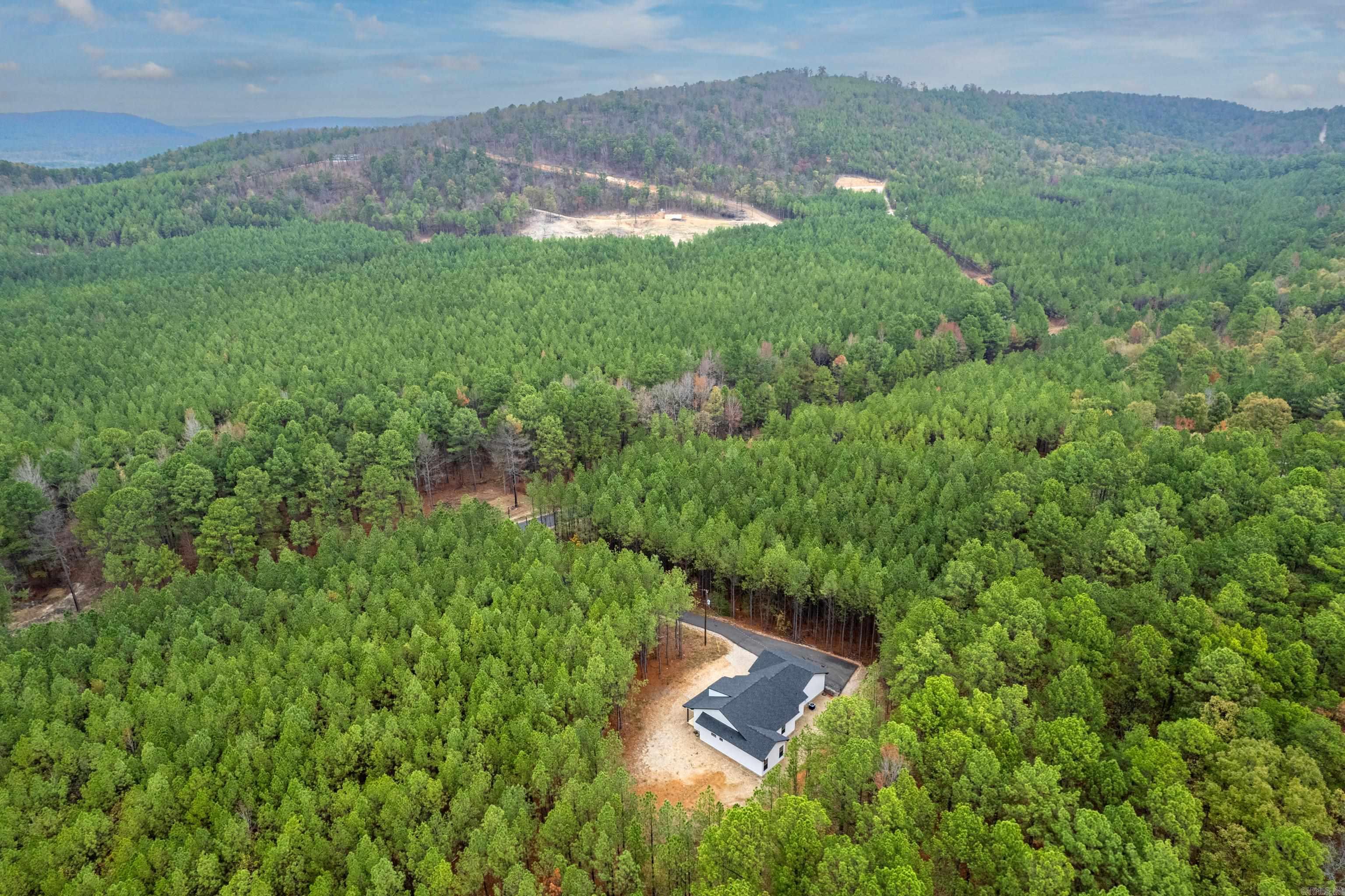 550 Stihl  Hot Springs, AR