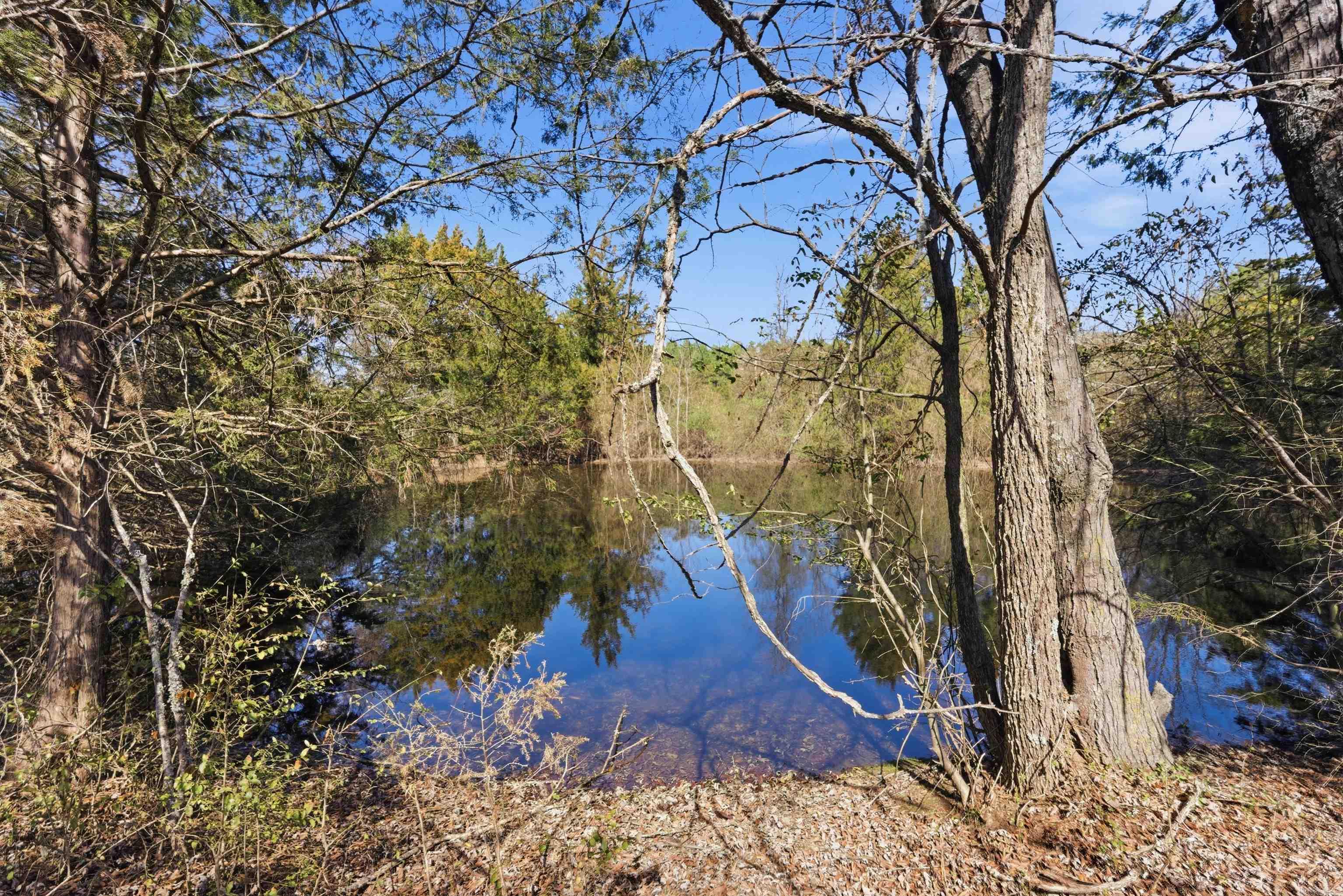 000 Hwy 287  Holland, AR