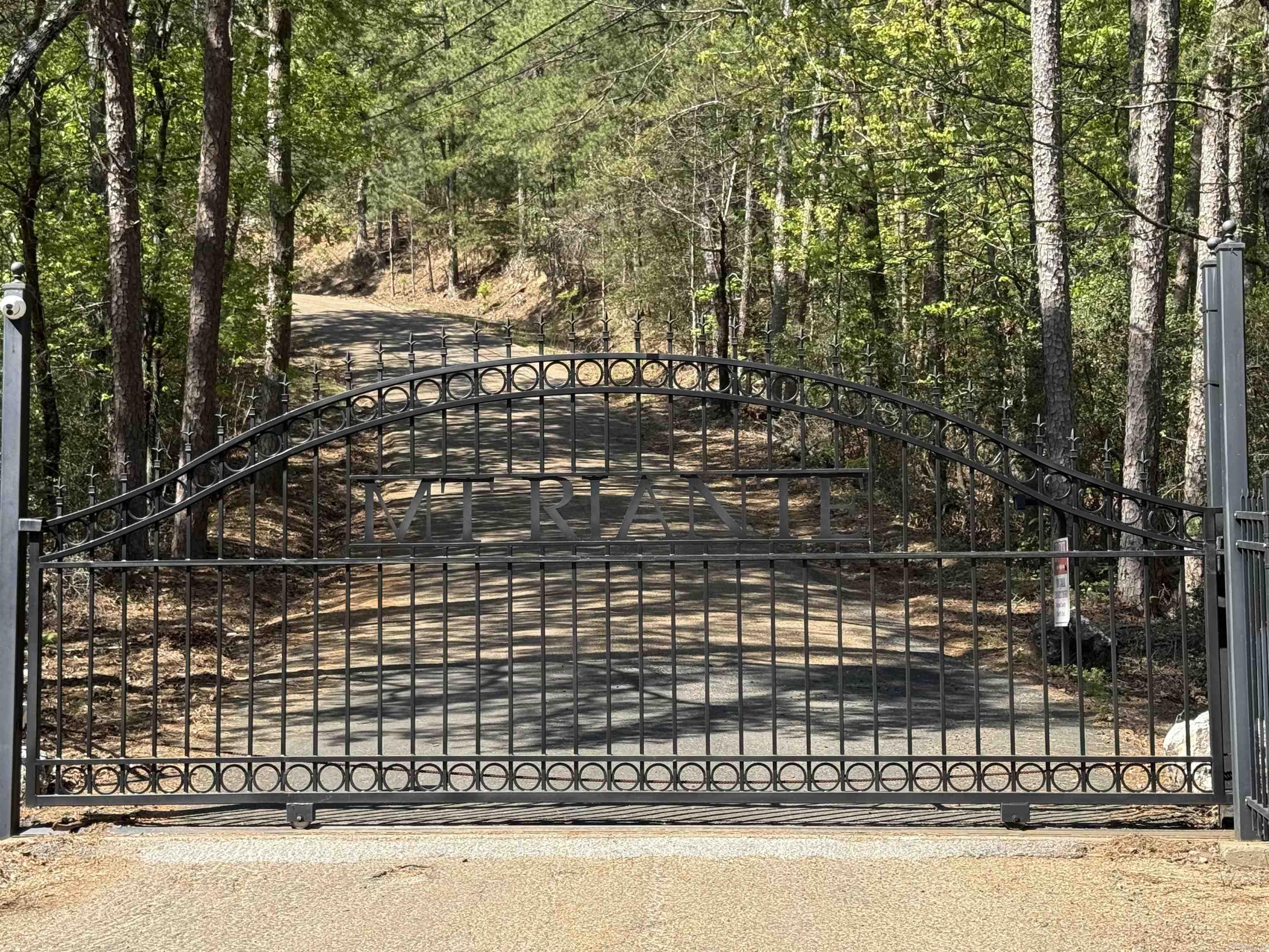 XXX MT RIANTE  Hot Springs, AR