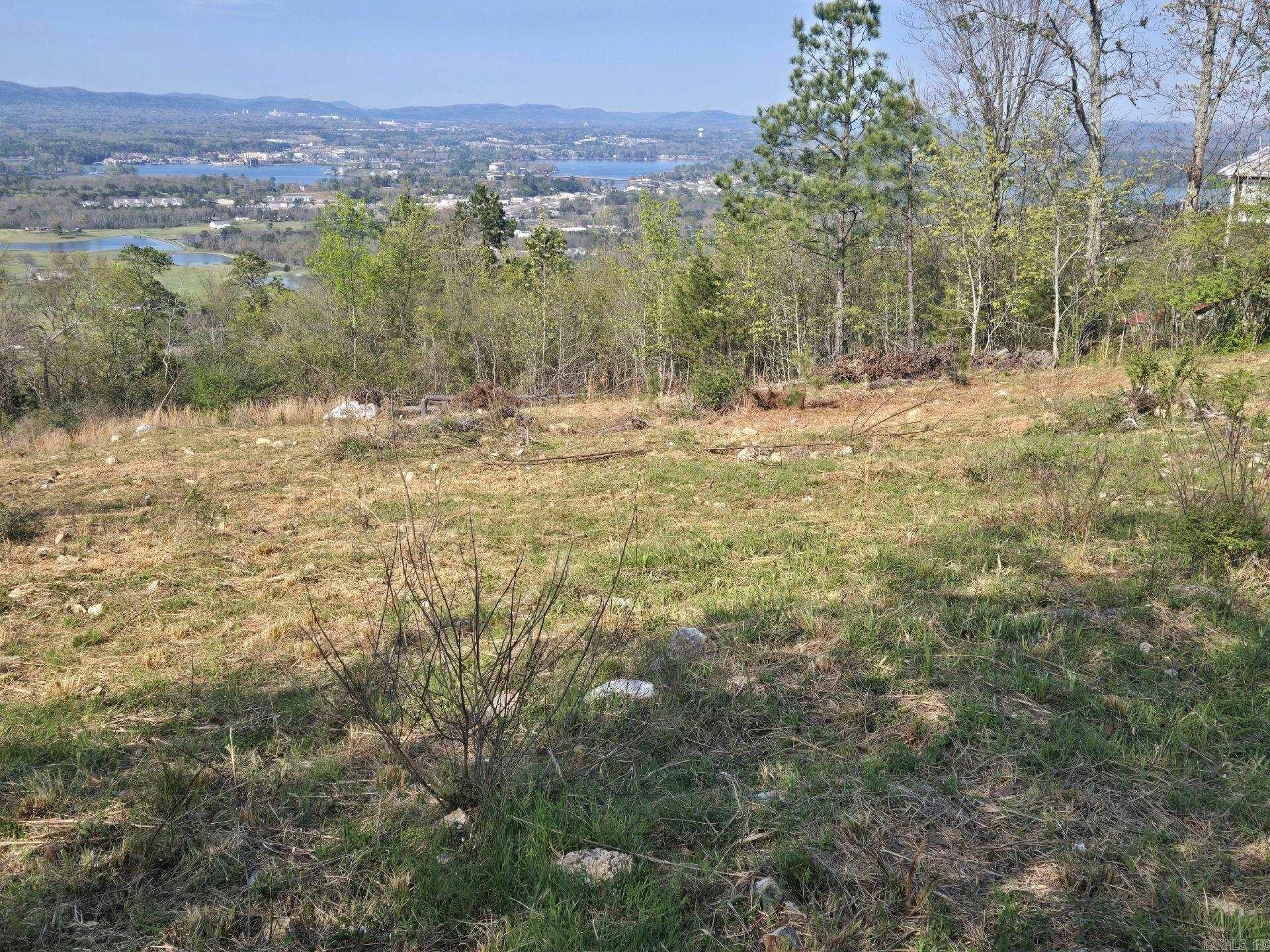 XXX MT RIANTE  Hot Springs, AR