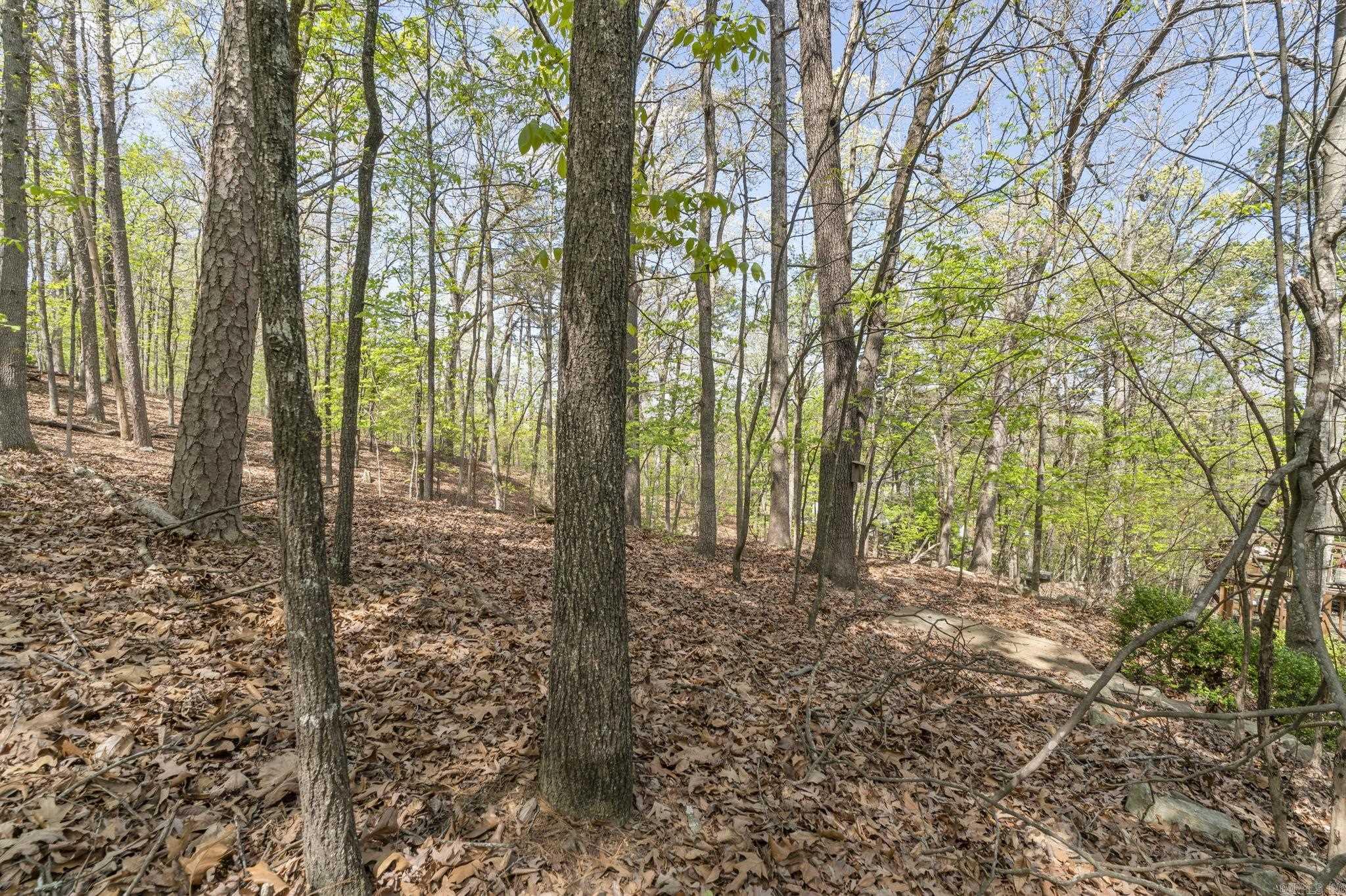 12 Fox Chapel  Little Rock, AR