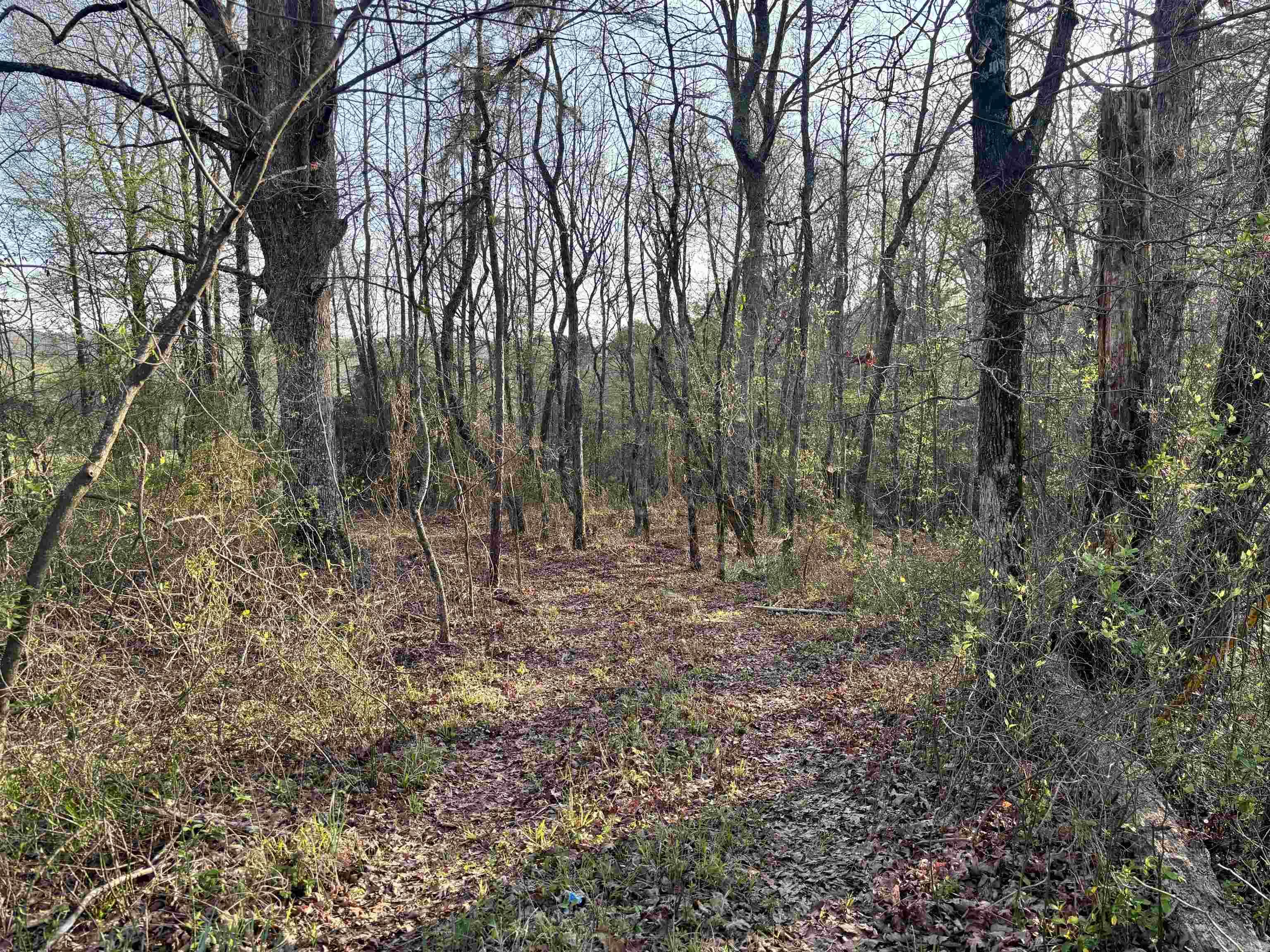 xxx W HIghway 84  Glenwood, AR