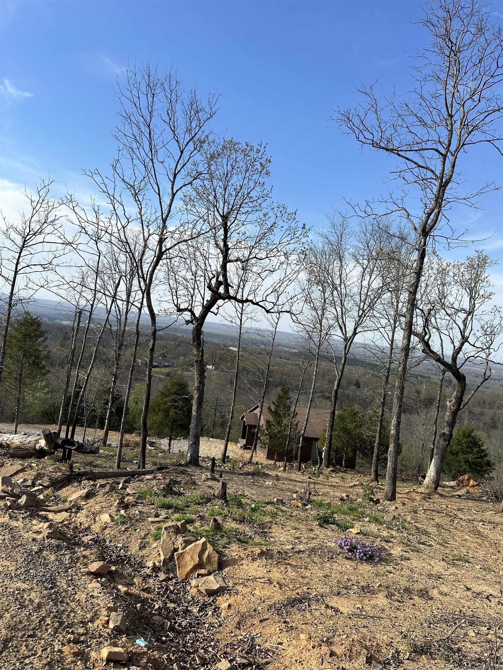 35 Moran Dr  Conway, AR