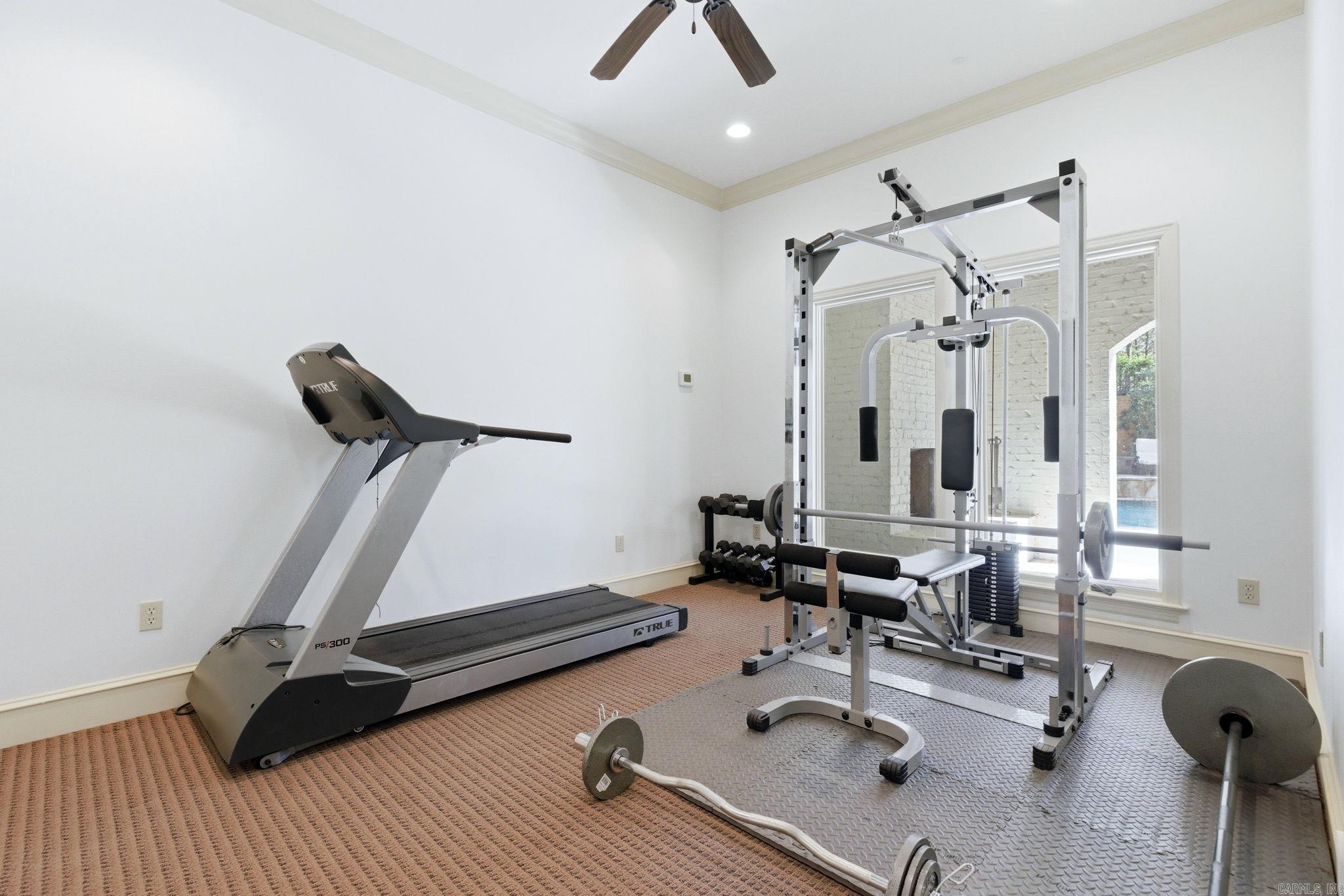 31 Cravache  Little Rock, AR