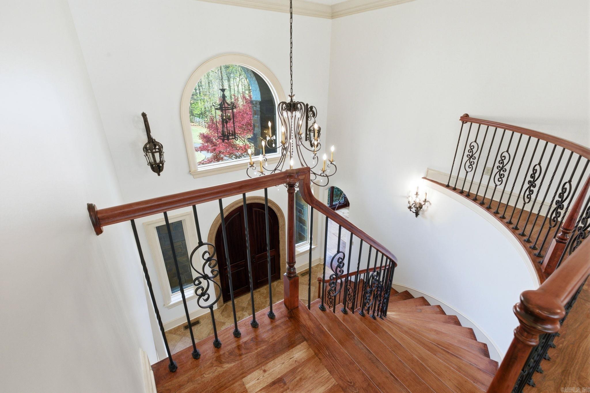 31 Cravache  Little Rock, AR