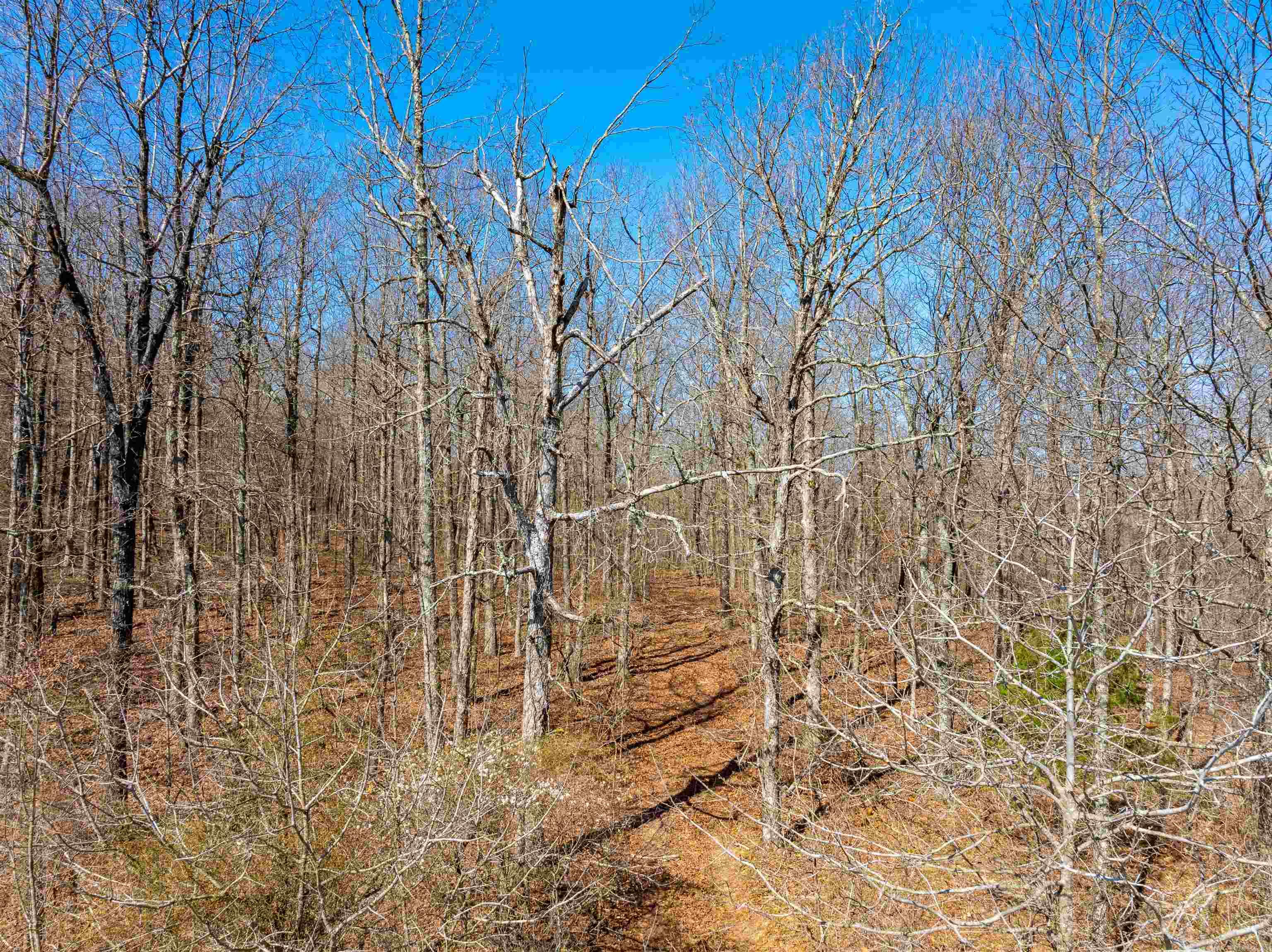 0 Jimmy Creek  Fox, AR