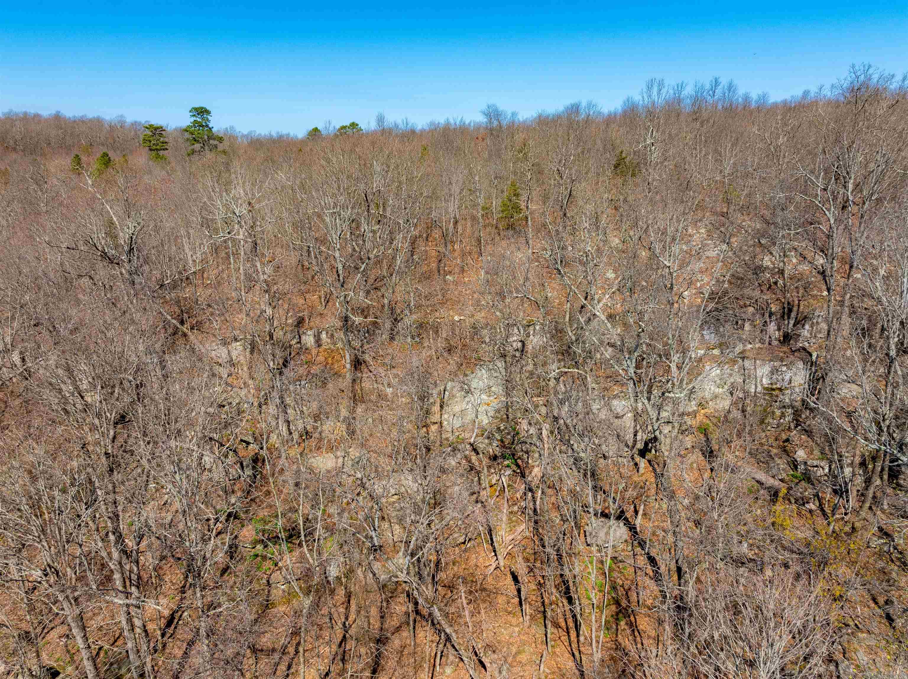 0 Jimmy Creek  Fox, AR