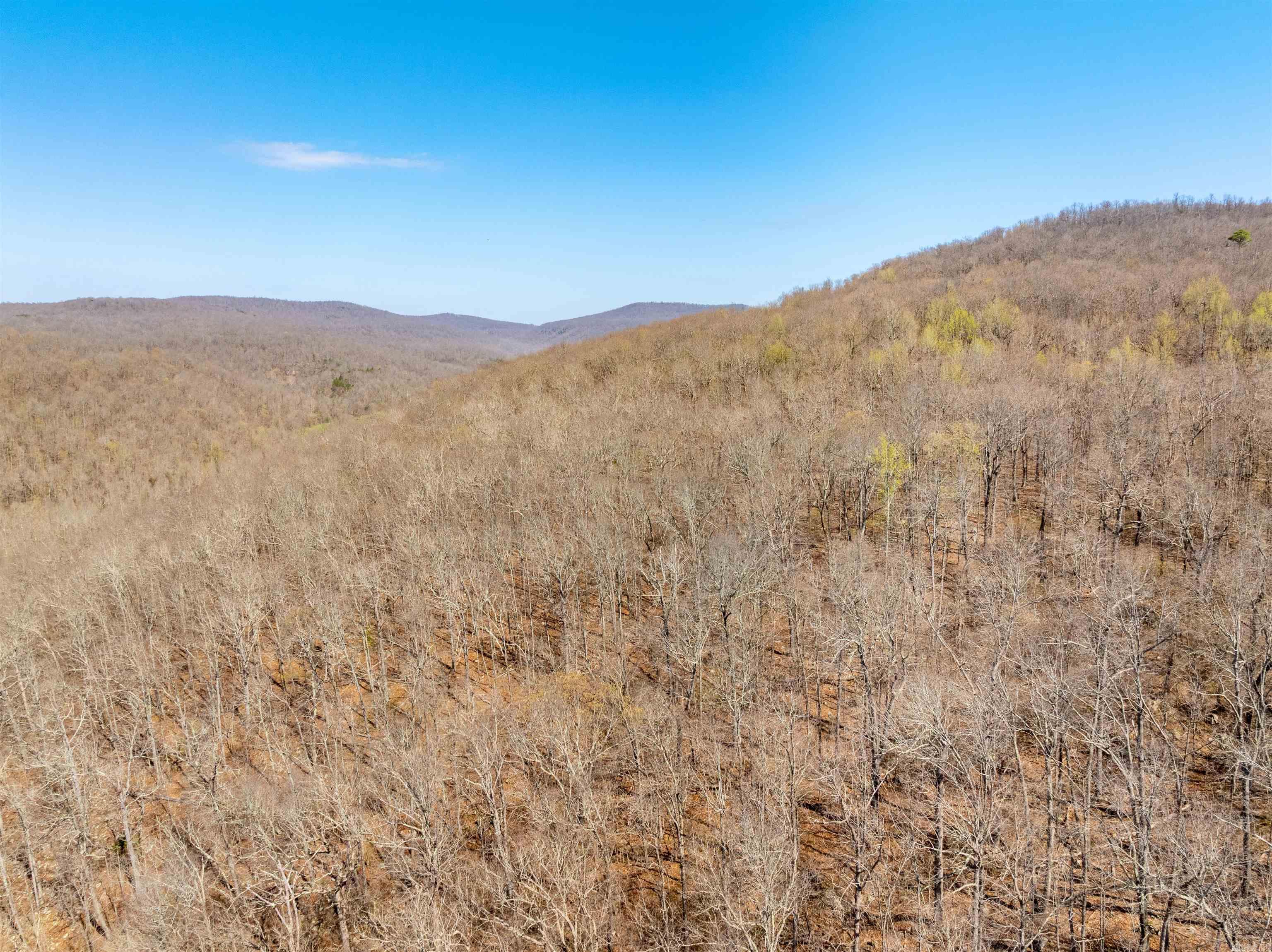 0 Jimmy Creek  Fox, AR