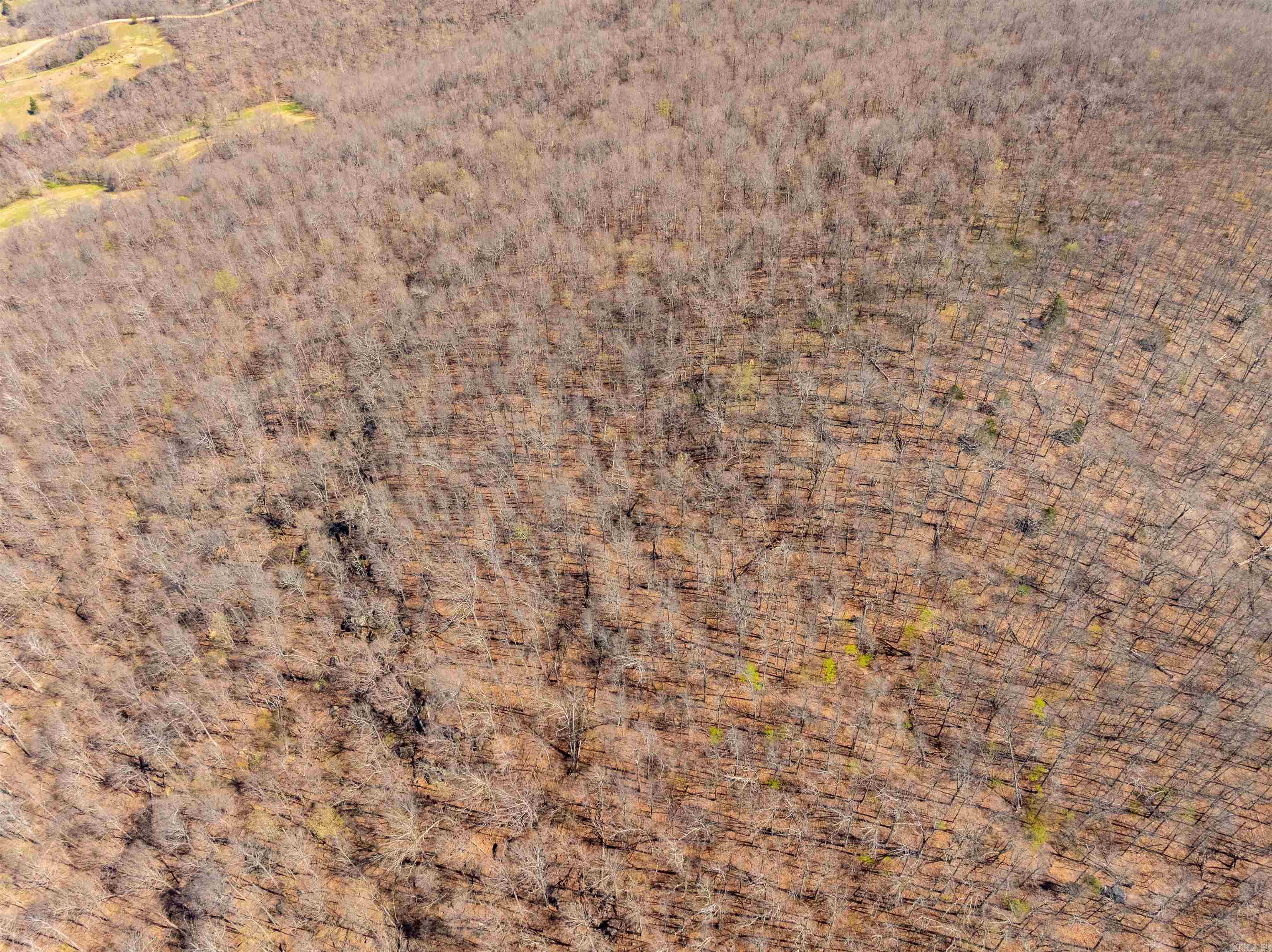 0 Jimmy Creek  Fox, AR