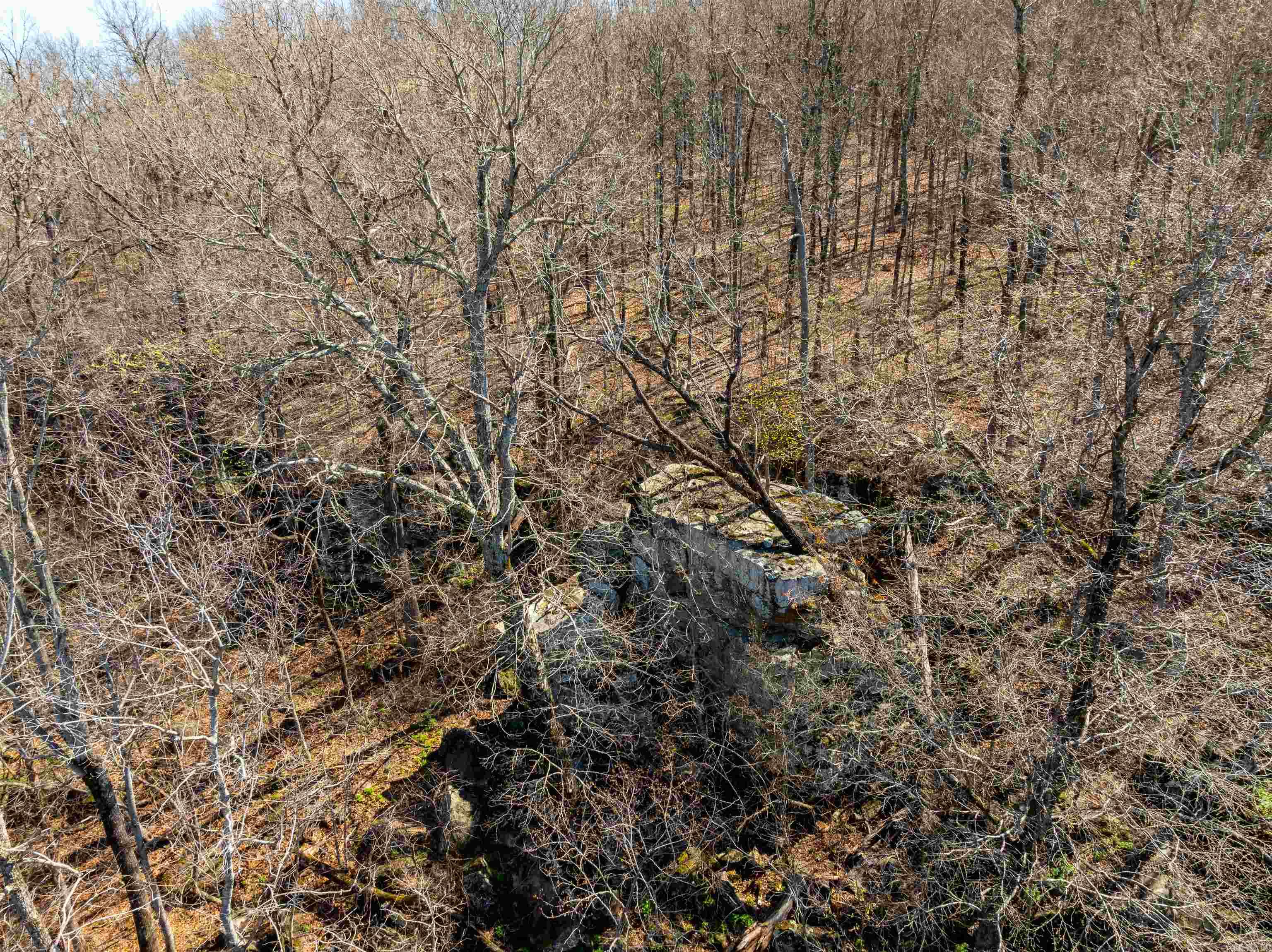 0 Jimmy Creek  Fox, AR