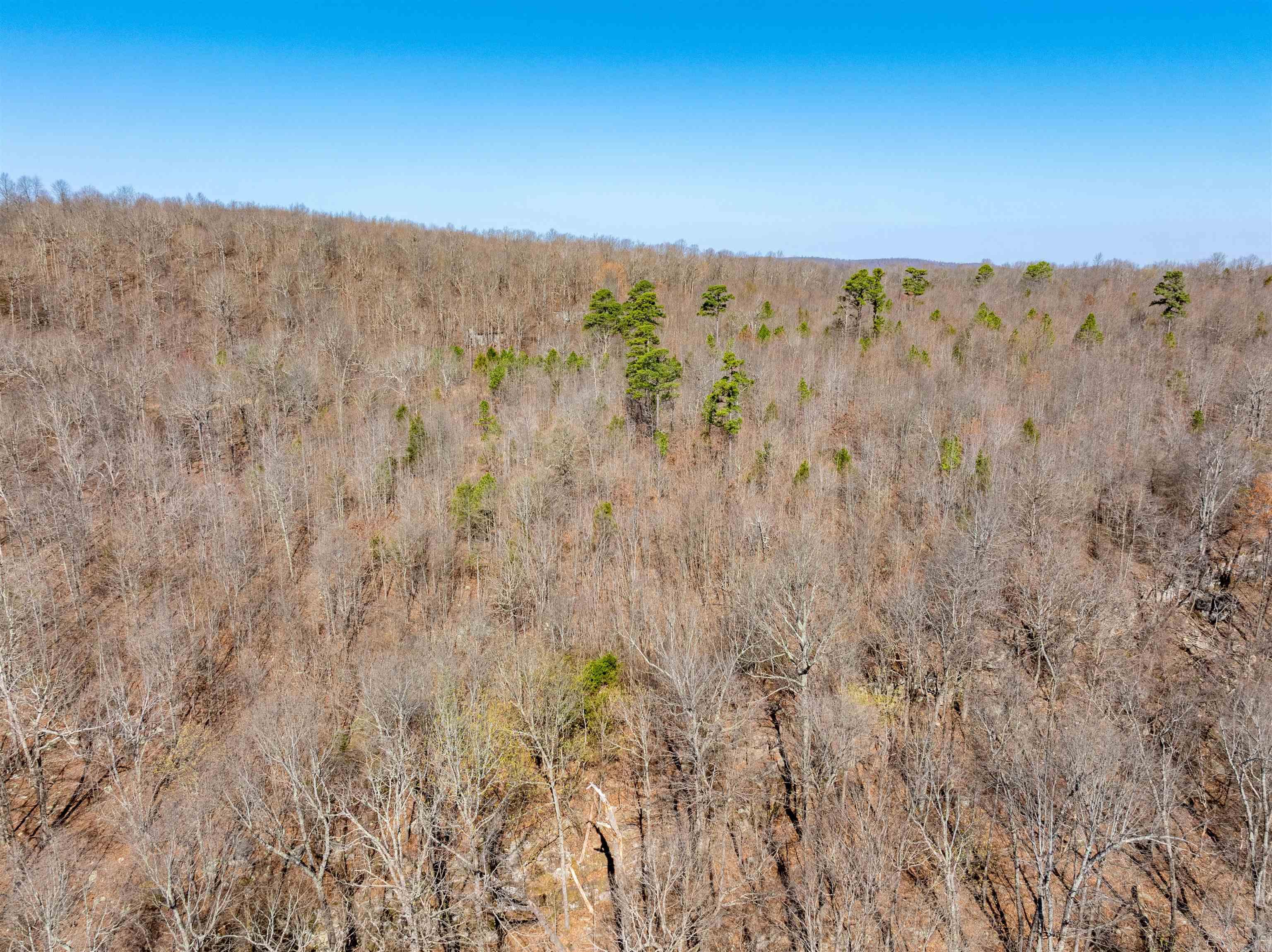 0 Jimmy Creek  Fox, AR