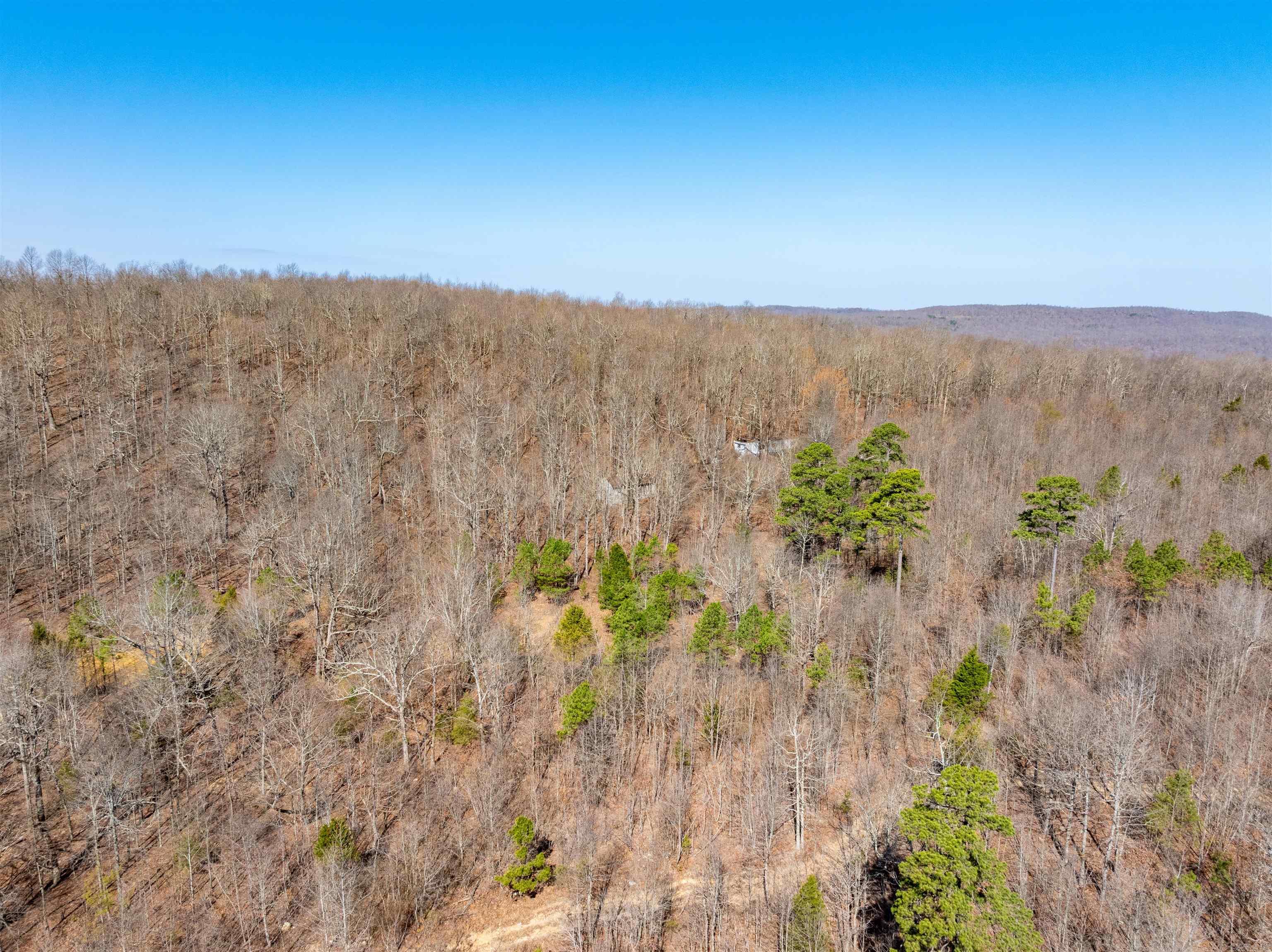 0 Jimmy Creek  Fox, AR