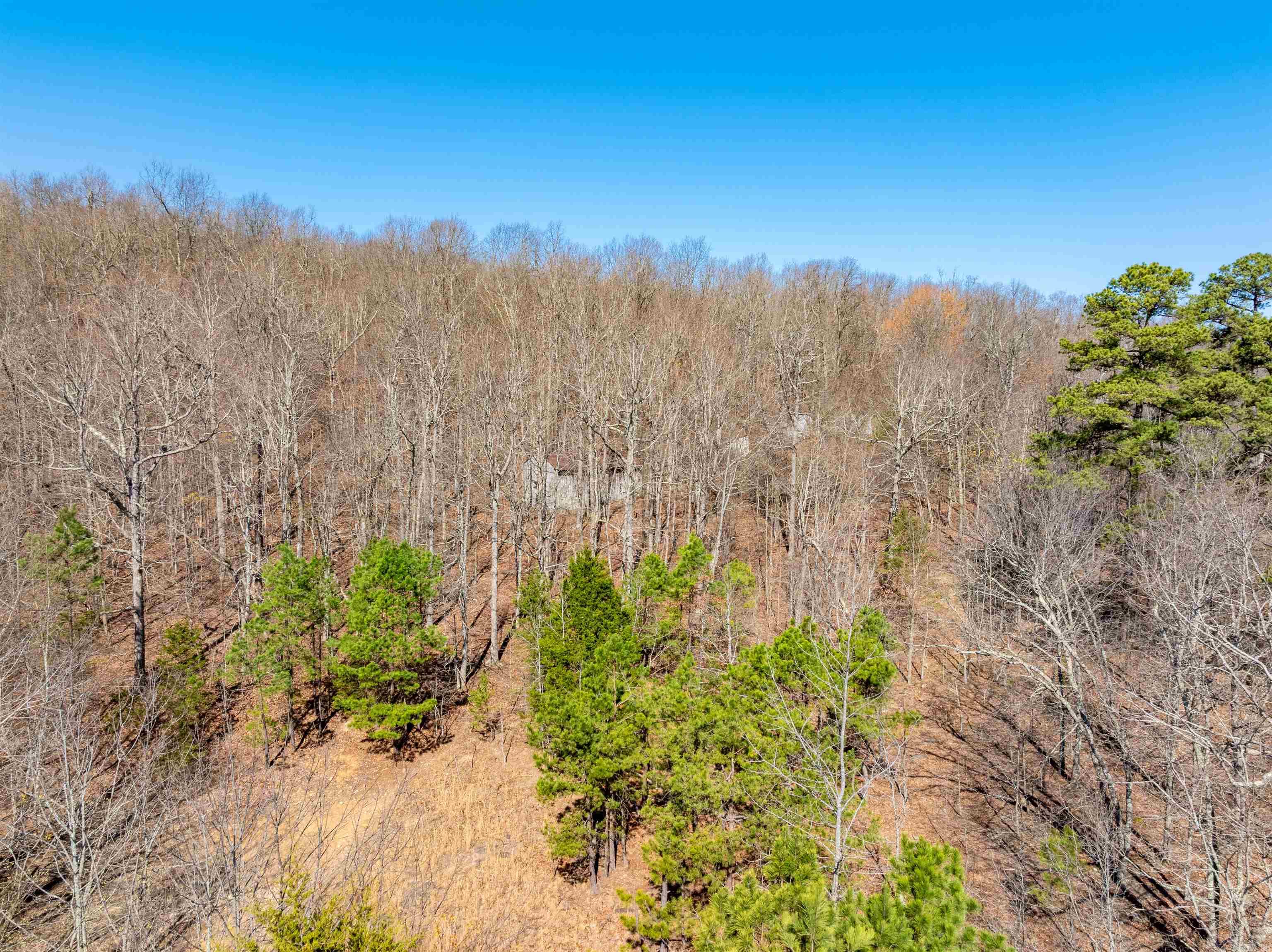 0 Jimmy Creek  Fox, AR