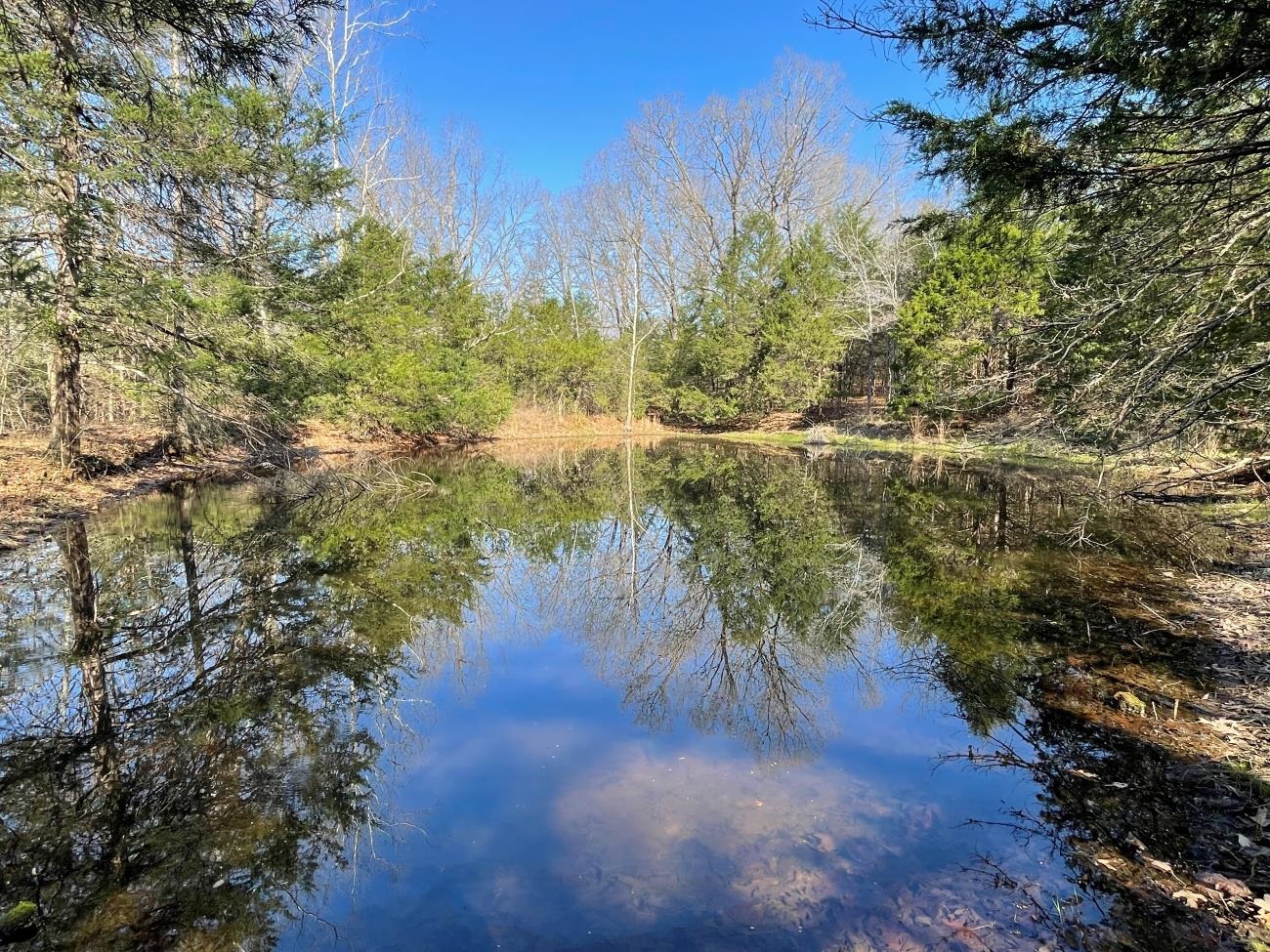 4240 Blackwell Den  Warm Springs, AR