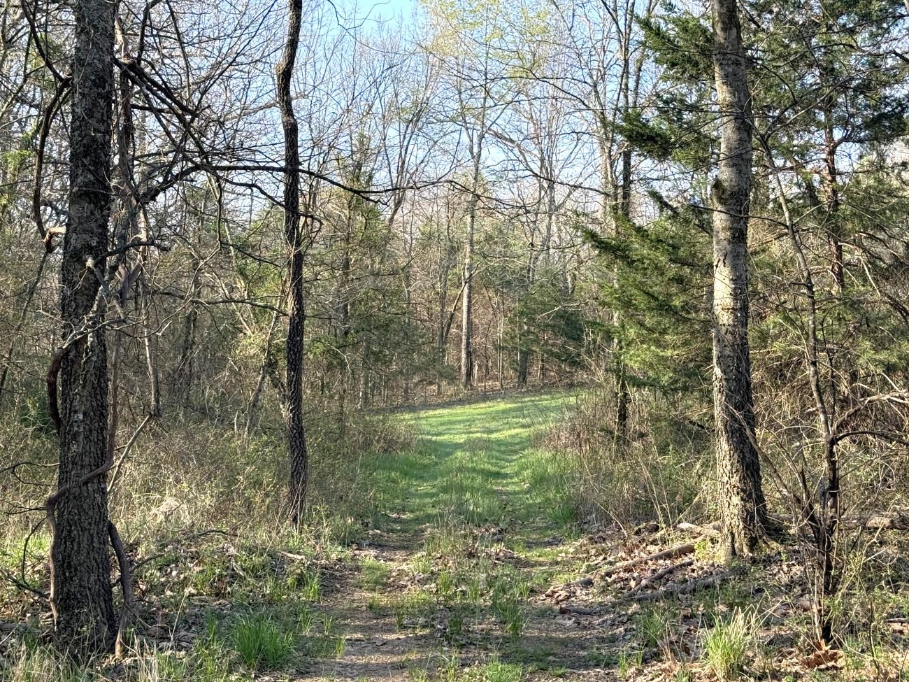 4240 Blackwell Den  Warm Springs, AR