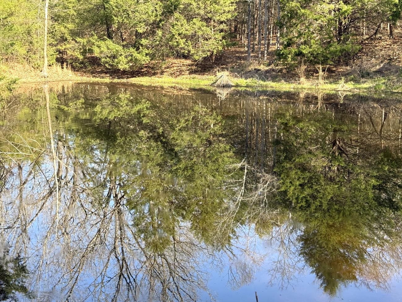 4240 Blackwell Den  Warm Springs, AR