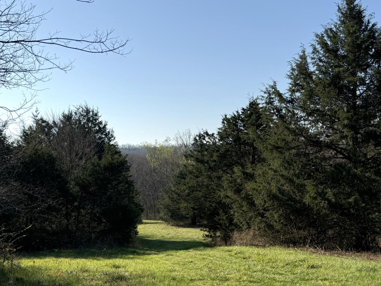 4240 Blackwell Den  Warm Springs, AR