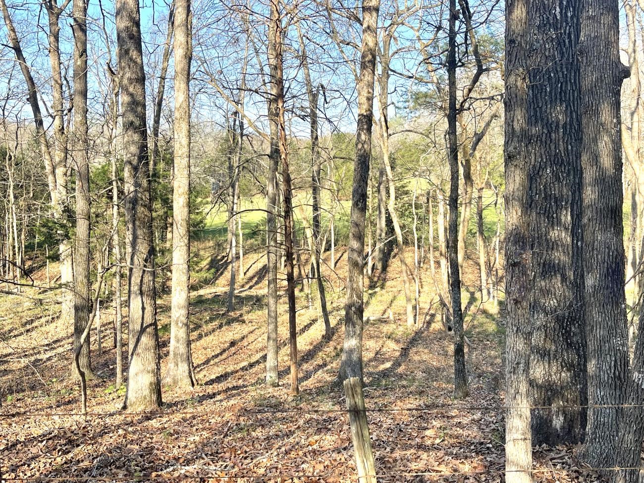 4240 Blackwell Den  Warm Springs, AR