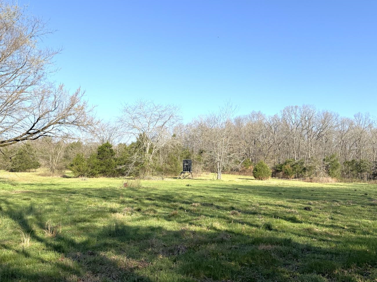 4240 Blackwell Den  Warm Springs, AR