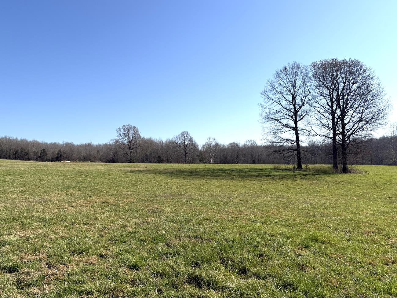 4240 Blackwell Den  Warm Springs, AR