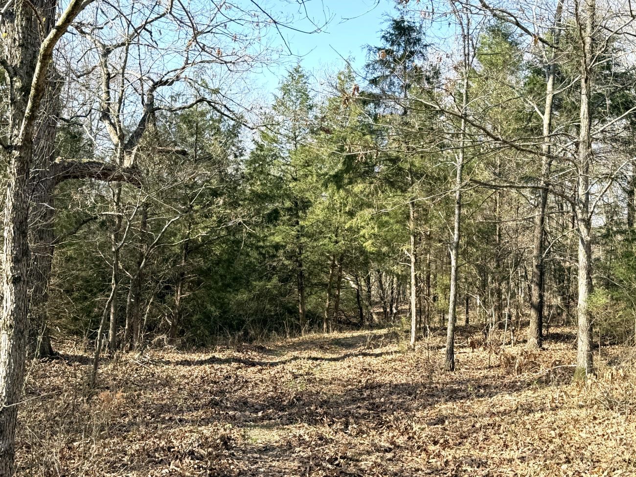 4240 Blackwell Den  Warm Springs, AR