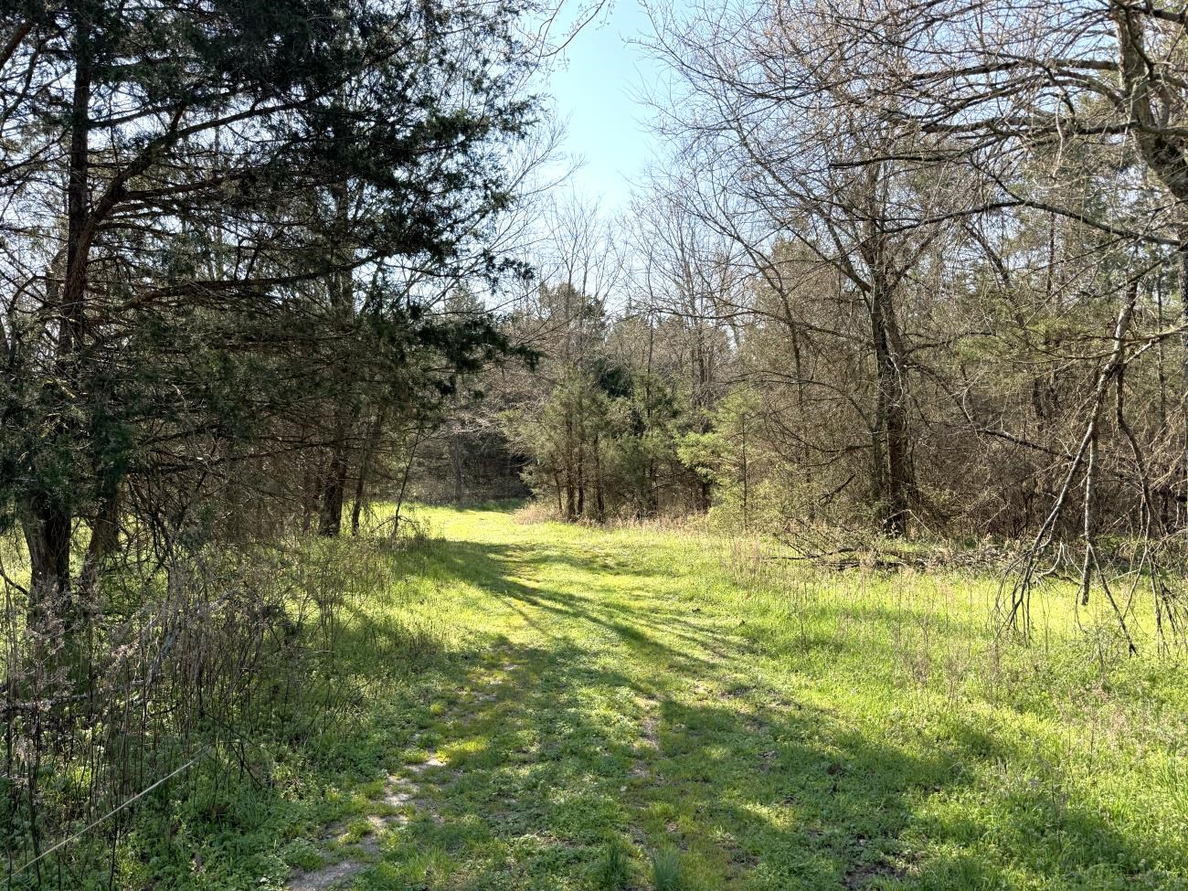 4240 Blackwell Den  Warm Springs, AR