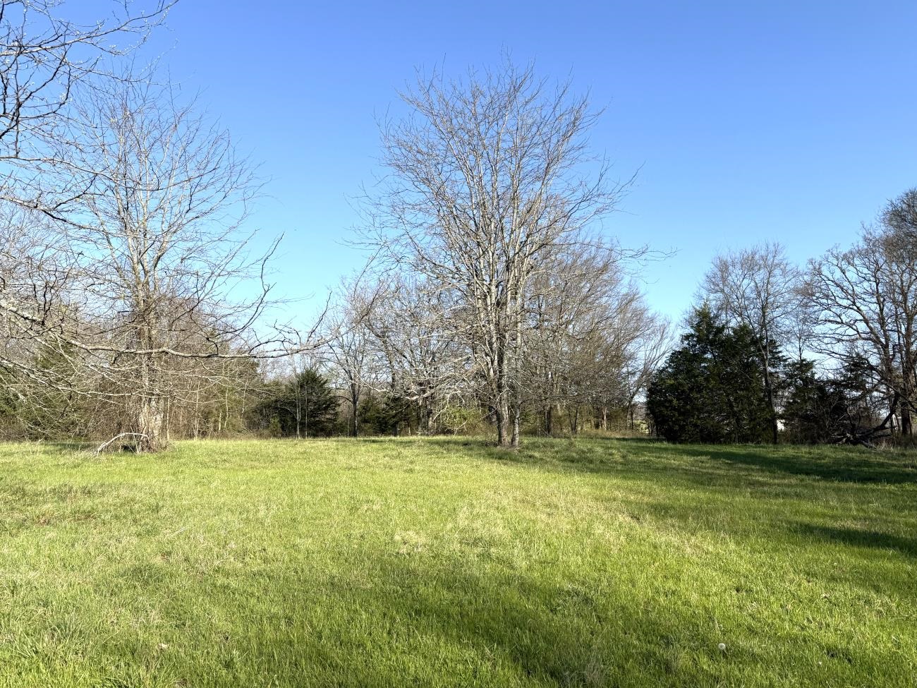 4240 Blackwell Den  Warm Springs, AR