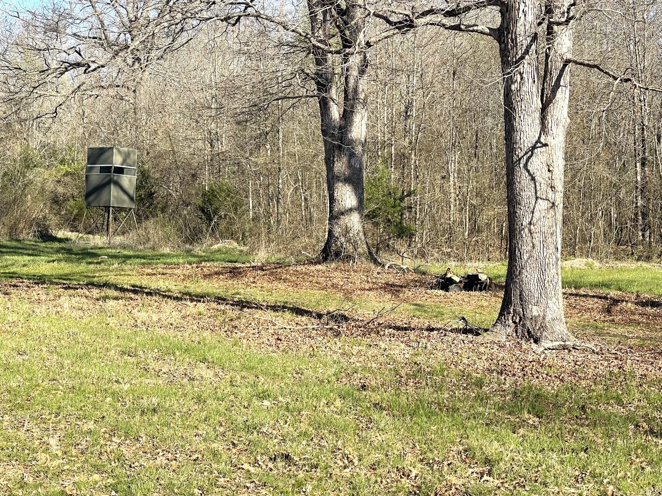 4240 Blackwell Den  Warm Springs, AR