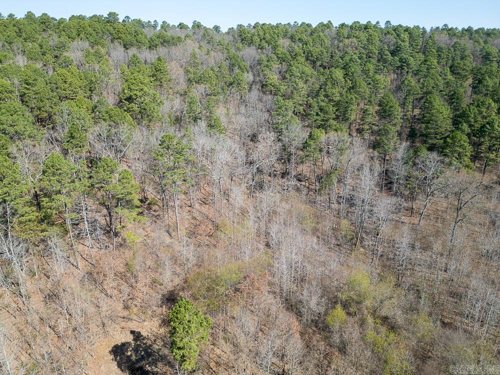 0000 Union Hill  Pleasant Plains, AR