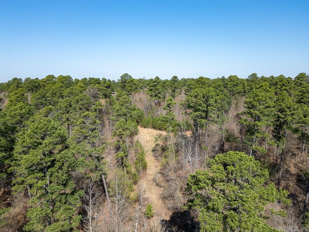 0000 Union Hill  Pleasant Plains, AR