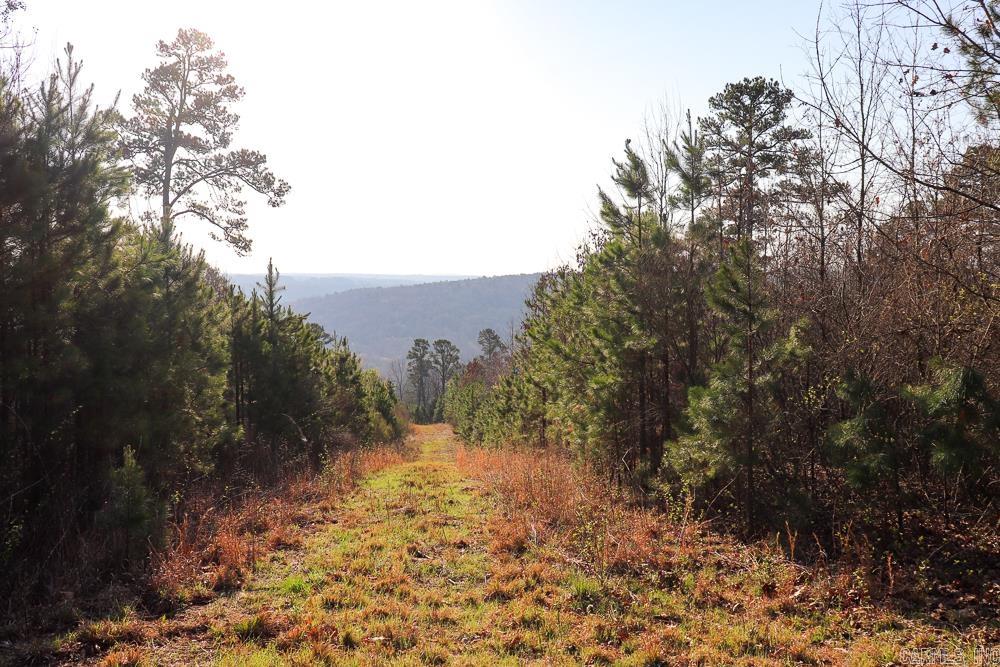 0000 Union Hill  Pleasant Plains, AR