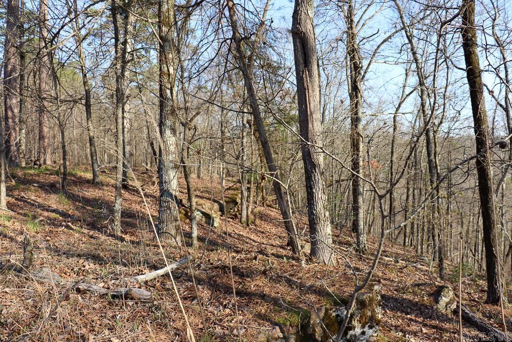 0000 Union Hill  Pleasant Plains, AR