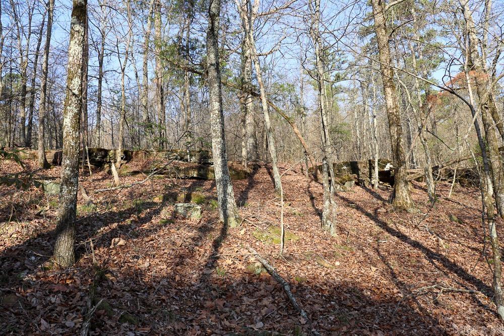 0000 Union Hill  Pleasant Plains, AR