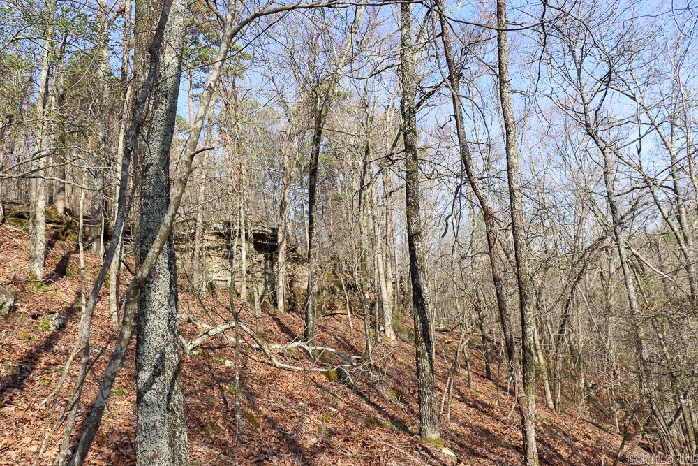 0000 Union Hill  Pleasant Plains, AR