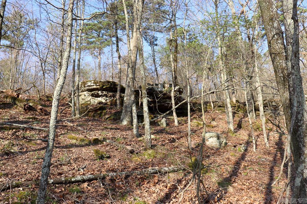 0000 Union Hill  Pleasant Plains, AR