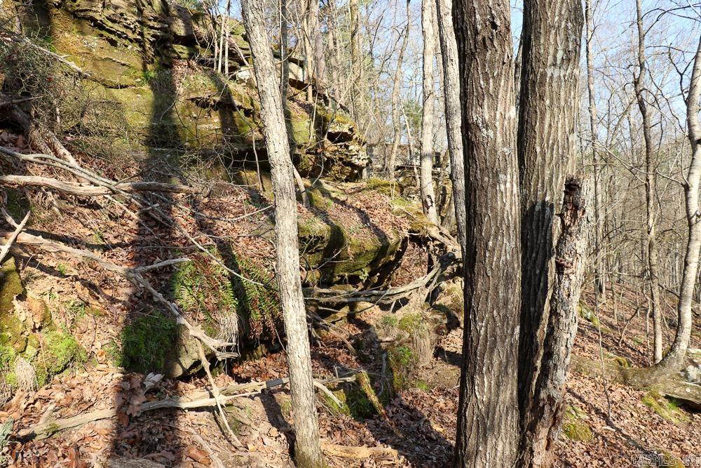 0000 Union Hill  Pleasant Plains, AR