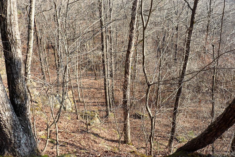 0000 Union Hill  Pleasant Plains, AR