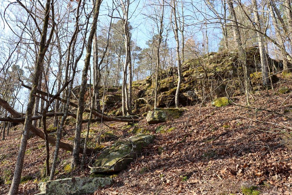 0000 Union Hill  Pleasant Plains, AR