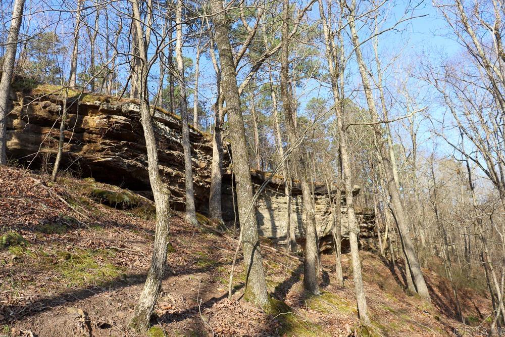 0000 Union Hill  Pleasant Plains, AR