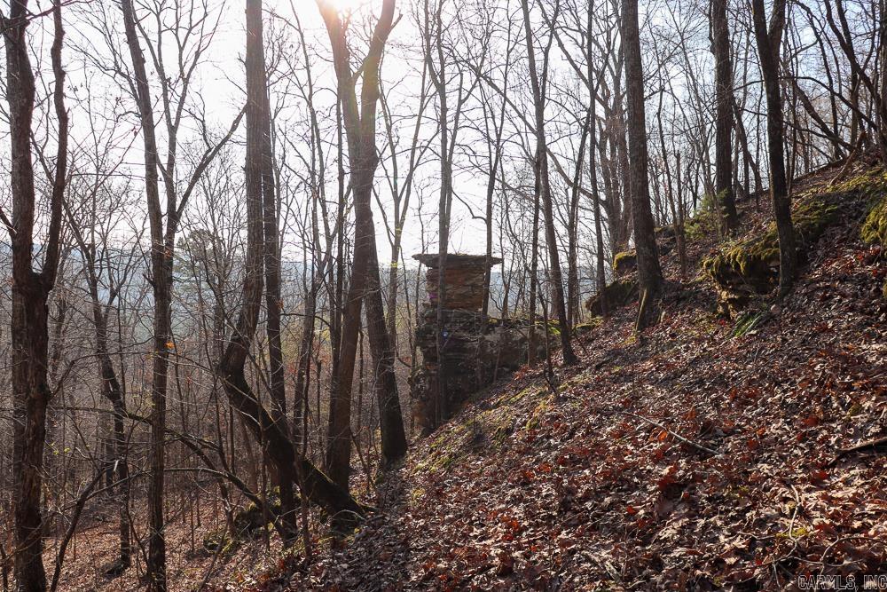 0000 Union Hill  Pleasant Plains, AR