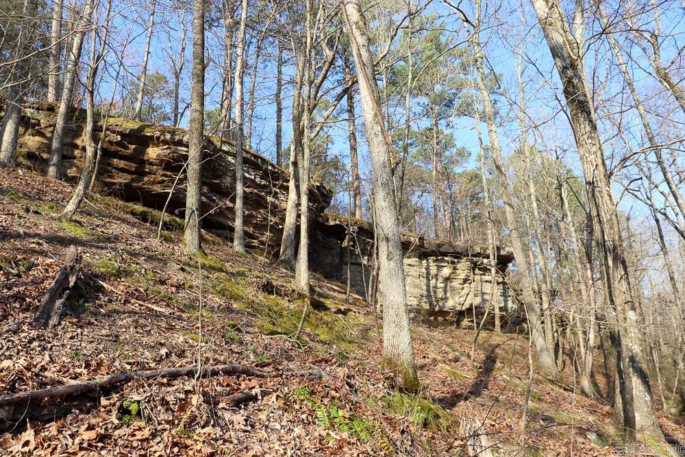 0000 Union Hill  Pleasant Plains, AR