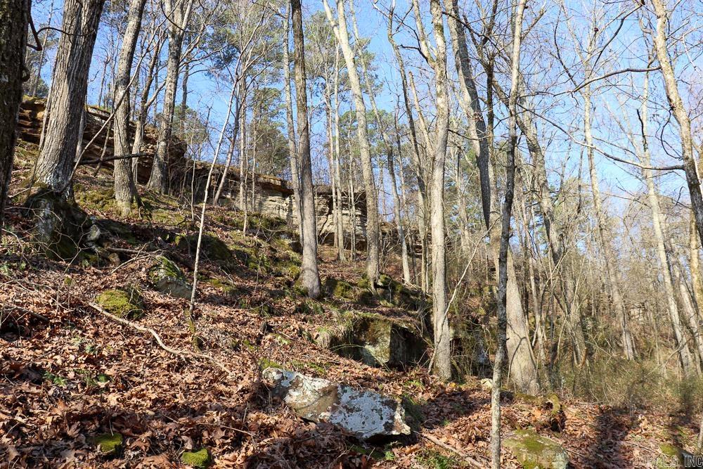 0000 Union Hill  Pleasant Plains, AR