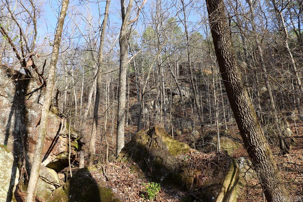 0000 Union Hill  Pleasant Plains, AR