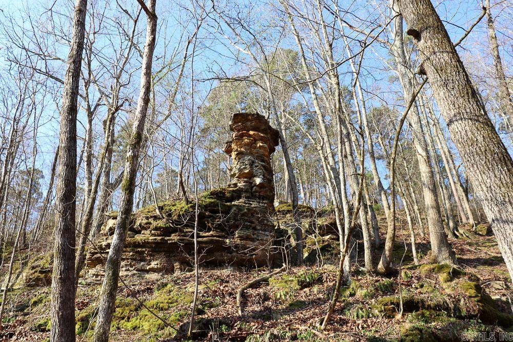 0000 Union Hill  Pleasant Plains, AR