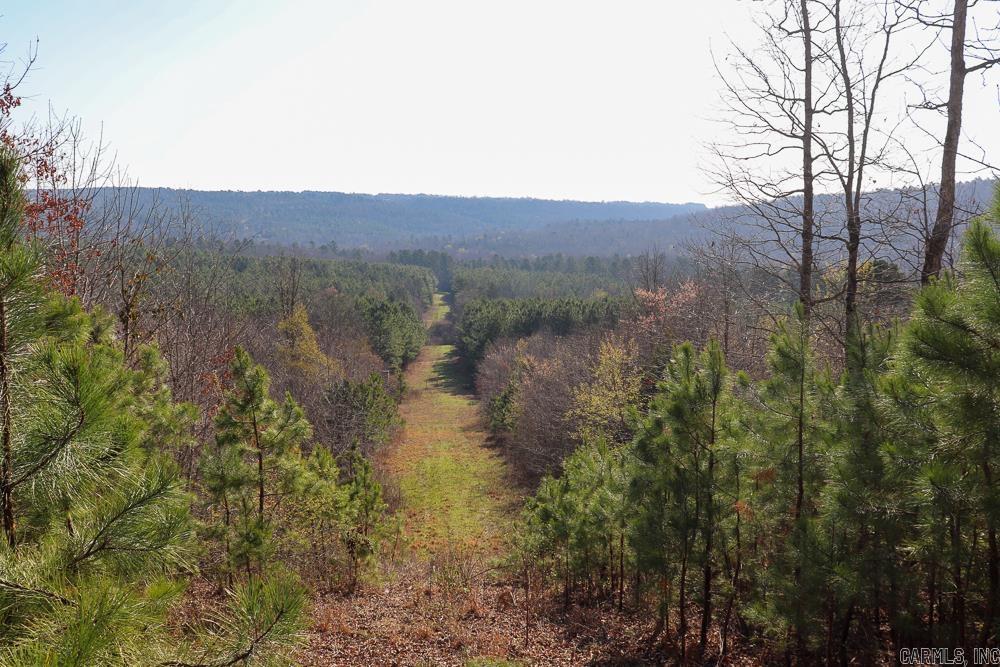 0000 Union Hill  Pleasant Plains, AR